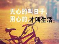 哈尔滨若特蒂科技有限公司