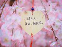 哈尔滨若特蒂科技有限公司