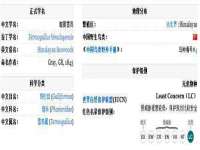 哈尔滨若特蒂科技有限公司