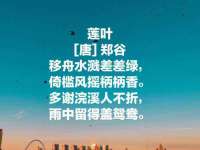 哈尔滨若特蒂科技有限公司