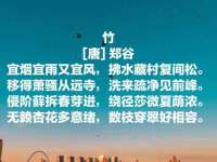 哈尔滨若特蒂科技有限公司
