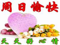 哈尔滨若特蒂科技有限公司