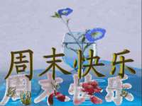 哈尔滨若特蒂科技有限公司