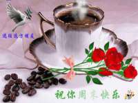 哈尔滨若特蒂科技有限公司