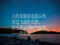 哈尔滨若特蒂科技有限公司