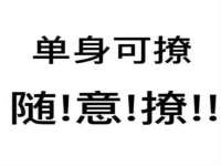 哈尔滨若特蒂科技有限公司