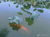 哈尔滨若特蒂科技有限公司