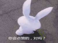 哈尔滨若特蒂科技有限公司