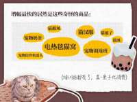 哈尔滨若特蒂科技有限公司