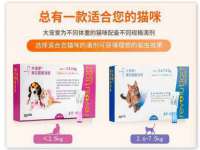 哈尔滨若特蒂科技有限公司