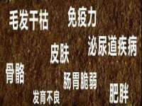 哈尔滨若特蒂科技有限公司