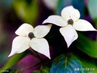 哈尔滨若特蒂科技有限公司