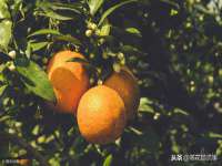 哈尔滨若特蒂科技有限公司