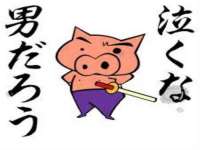 哈尔滨若特蒂科技有限公司