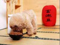哈尔滨若特蒂科技有限公司