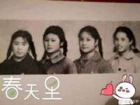 哈尔滨若特蒂科技有限公司