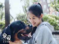哈尔滨若特蒂科技有限公司