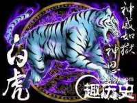 哈尔滨若特蒂科技有限公司