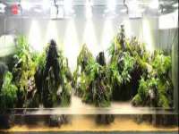 哈尔滨若特蒂科技有限公司