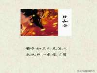 哈尔滨若特蒂科技有限公司