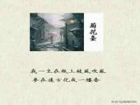 哈尔滨若特蒂科技有限公司