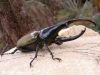 哈尔滨若特蒂科技有限公司