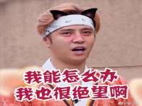 哈尔滨若特蒂科技有限公司