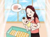 哈尔滨若特蒂科技有限公司