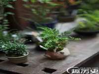 哈尔滨若特蒂科技有限公司