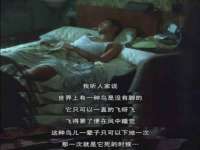 哈尔滨若特蒂科技有限公司