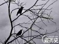 哈尔滨若特蒂科技有限公司