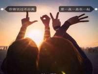 哈尔滨若特蒂科技有限公司