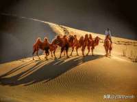 哈尔滨若特蒂科技有限公司