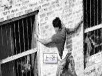 哈尔滨若特蒂科技有限公司