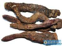 哈尔滨若特蒂科技有限公司