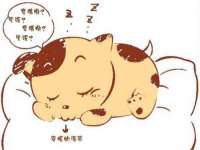 哈尔滨若特蒂科技有限公司