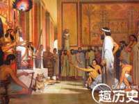 哈尔滨若特蒂科技有限公司