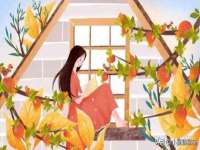 哈尔滨若特蒂科技有限公司