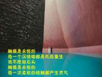 哈尔滨若特蒂科技有限公司