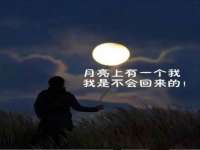 哈尔滨若特蒂科技有限公司