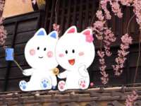 哈尔滨若特蒂科技有限公司