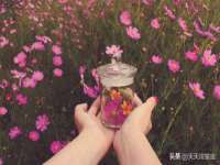 哈尔滨若特蒂科技有限公司