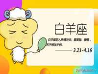 哈尔滨若特蒂科技有限公司