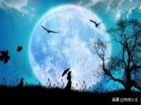 哈尔滨若特蒂科技有限公司