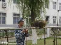 哈尔滨若特蒂科技有限公司