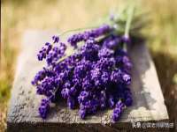 哈尔滨若特蒂科技有限公司
