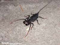 哈尔滨若特蒂科技有限公司