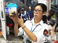 哈尔滨若特蒂科技有限公司