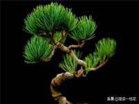 哈尔滨若特蒂科技有限公司