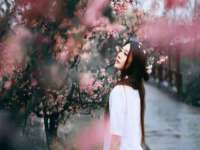 哈尔滨若特蒂科技有限公司